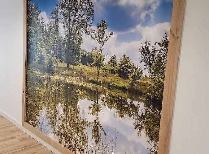 De Foreesten Виерхоутен